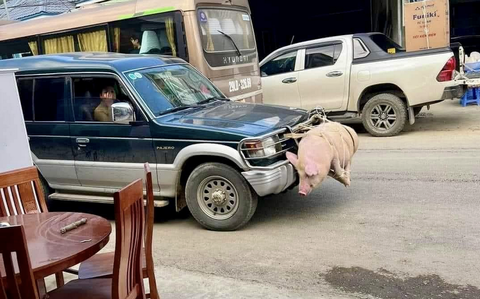 Ảnh vui mùng 3 Tết: Cảnh báo va chạm xịn, đụng vào là kêu 'éc éc'- Ảnh 1. Thế này thì khe tản nhiệt bị chặn rồi.
