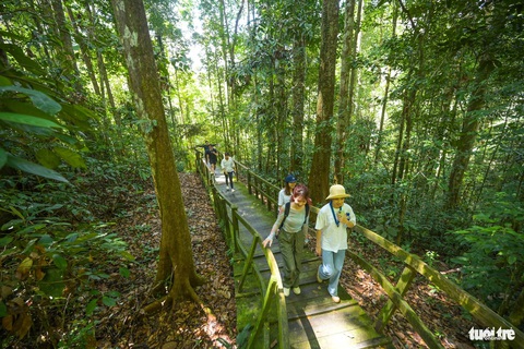 Tản bộ trong công viên quốc gia không cần chạm chân xuống đất ở Brunei- Ảnh 5. Tản bộ dưới những tán cây xanh bạt ngàn chỉ có ở Brunei