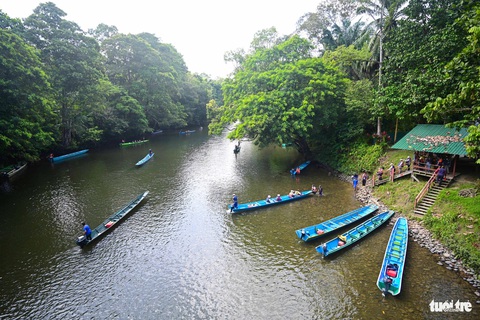 Tản bộ trong công viên quốc gia không cần chạm chân xuống đất ở Brunei- Ảnh 20. Dòng sông xanh mát dưới những tán cây cổ thụ mang lại không khí trong lành cho du khách
