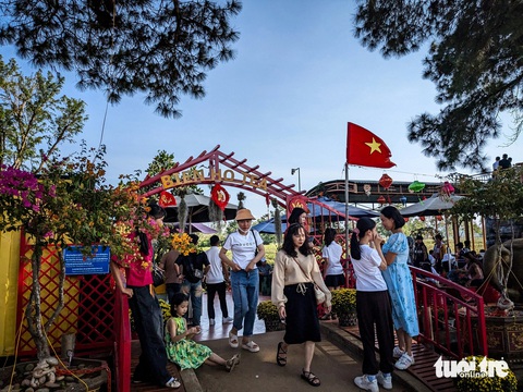 Mùng 3 Tết, 'đôi mắt Pleiku' đông nghẹt khách du xuân- Ảnh 6. Mỗi ngày tết, khu vực hàng thông cổ thụ cạnh Biển Hồ Chè đón được không ít du khách