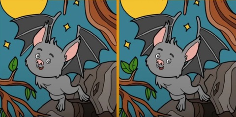 Thử tài tinh mắt: Con thỏ ở đâu?- Ảnh 5. Thử tài tinh mắt: Con thỏ ở đâu?- Ảnh 5.