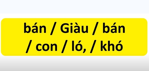 Thử tài tiếng Việt: Sắp xếp các từ sau thành câu có nghĩa (P3)- Ảnh 1. Thử tài tiếng Việt: Sắp xếp các từ sau thành câu có nghĩa (P3)- Ảnh 1.