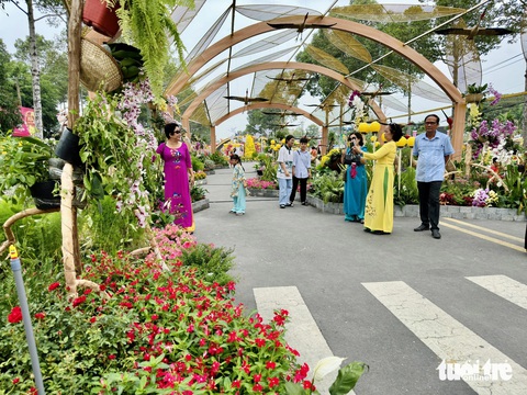 Phú Quốc bội thu, Đường hoa Đồng Tháp đông nghẹt khách dịp Tết- Ảnh 2. Du khách du xuân và chụp ảnh bên đường hoa Cao Lãnh, Đồng Tháp - Ảnh: ĐẶNG TUYẾT