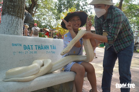 Hàng ngàn du khách tham quan trại rắn lớn nhất miền Tây- Ảnh 1. Du khách thích thú chụp hình cùng con trăn tại trại rắn Đồng Tâm
