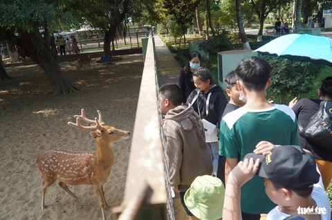 Hàng ngàn du khách tham quan trại rắn lớn nhất miền Tây- Ảnh 4. Ngoài tham quan các loài rắn, du khách còn có thể tiếp cận trực tiếp với nhiều loài thú khác