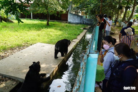 Hàng ngàn du khách tham quan trại rắn lớn nhất miền Tây- Ảnh 5. Du khách xem gấu trong trại rắn Đồng Tâm