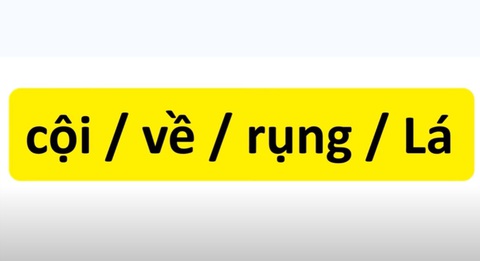 Thử tài tiếng Việt: sắp xếp các từ sau thành câu có nghĩa (P4)- Ảnh 3. Thử tài tiếng Việt: sắp xếp các từ sau thành câu có nghĩa (P4)- Ảnh 3.