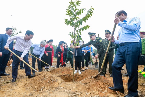Chủ tịch nước: Mỗi cây được trồng là món quà vô giá gửi tương lai- Ảnh 1. Chủ tịch nước Võ Văn Thưởng cùng các đại biểu trồng cây chò chỉ tại xã Kim Phú, TP Tuyên Quang - Ảnh: C.TUỆ