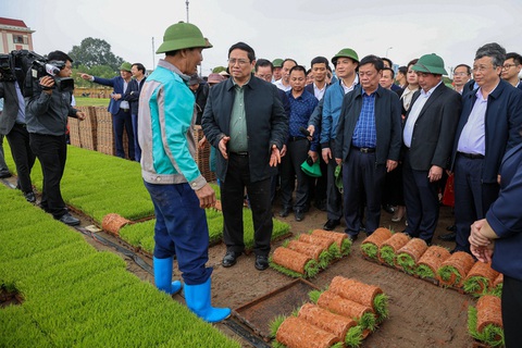 Thủ tướng xuống đồng cấy lúa, thu hoạch cà rốt cùng nông dân- Ảnh 4. Thủ tướng trò chuyện cùng nông dân - Ảnh: VGP