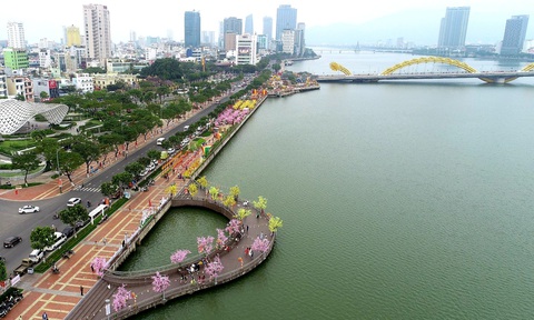 Đường hoa Tết Đà Nẵng sẽ duy trì đến hết Tết Nguyên tiêu- Ảnh 3. Du khách, người dân tham quan đường hoa Tết Đà Nẵng - Ảnh: ĐOÀN CƯỜNG