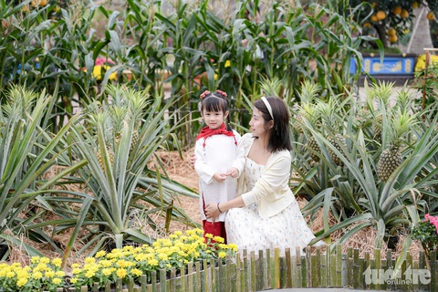 Vườn dứa, luống ngô được các bạn nhỏ yêu thích - Ảnh: NAM TRẦN Vườn dứa, luống ngô được các bạn nhỏ yêu thích - Ảnh: NAM TRẦN