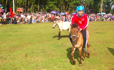 Những chú ngựa với hình dáng nhỏ bé bắt đầu xuất phát trên đường đua - Ảnh: NGUYỄN HOÀNG Những chú ngựa với hình dáng nhỏ bé trên đường đua - Ảnh: NGUYỄN HOÀNG