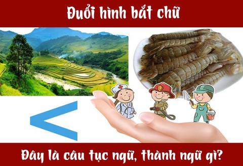 IQ cao có đoán được đây là câu tục ngữ, thành ngữ gì? (P38)- Ảnh 3. IQ cao có đoán được đây là câu tục ngữ, thành ngữ gì? (P38)- Ảnh 3.