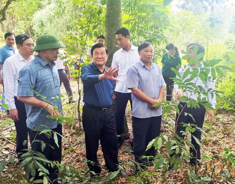 Nguyên Chủ tịch nước Trương Tấn Sang khảo sát thực địa Tổng Chúp vào tháng 6-2023 - Ảnh: L.Đ.DỤC Nguyên Chủ tịch nước Trương Tấn Sang khảo sát thực địa Tổng Chúp vào tháng 6-2023 - Ảnh: L.Đ.DỤC