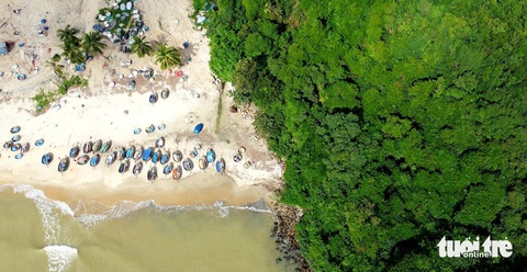 Những ‘lá phổi xanh’ trong lòng Đà Nẵng- Ảnh 7. Thuyền đánh cá của bà con tập kết bên rừng cây