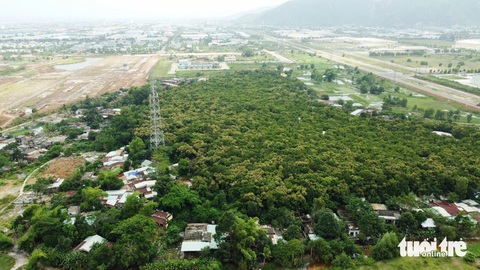 Những ‘lá phổi xanh’ trong lòng Đà Nẵng- Ảnh 8. Rừng Trung Sơn lọt thỏm giữa các tuyến phố và khu dân cư