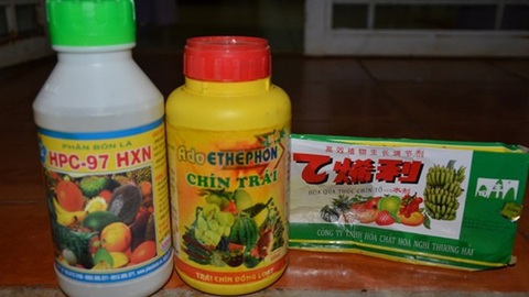 Dân hoang mang khi dùng thuốc nhúng trái cây chín, Bộ Nông nghiệp nói gì?- Ảnh 1. Thuốc nhúng trái cây hiện chưa được cấp phép sử dụng