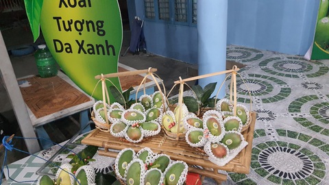 An Giang công bố xuất khẩu 13 tấn xoài hạt lép sang Hàn Quốc- Ảnh 1. 13 tấn xoài hạt lép đã được xuất khẩu sang thị trường Hàn Quốc là tín hiệu vui đối với người trồng xoài - Ảnh: MINH KHANG