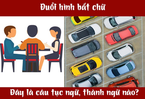 Câu tục ngữ, thành ngữ 'khó nhằn' này là gì? (P46)- Ảnh 1.