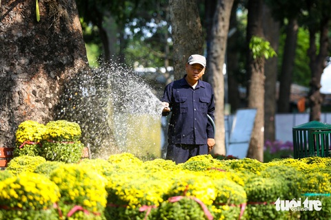 Hội hoa xuân Tao Đàn lần thứ 44: Cá chép hóa rồng, TP.HCM phồn thịnh, phát triển- Ảnh 1. Nhân viên Công ty TNHH MTV Công viên cây xanh TP.HCM tưới hoa, đảm bảo hoa không bị héo khô để trang trí cho hội hoa xuân - Ảnh: LÊ PHAN