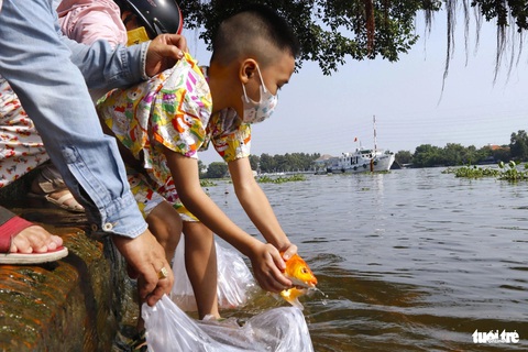 Công an túc trực 'trên bờ, dưới nước' ngày cúng ông Táo, đội xuyệt điện mất tăm- Ảnh 6. Trẻ nhỏ cũng hào hứng xin phụ huynh thả cá chép ngày ông Công, ông Táo - Ảnh: TIẾN QUỐC