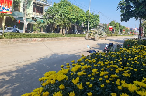 Cận Tết lại xới tung làm đường, chủ tịch TP Quảng Ngãi nhận lỗi và đưa cam kết- Ảnh 1. Bốn ngày từ khi đưa hoa Tết về bán, nhưng chủ hoa chưa bán được chậu nào vì đường bị rào chắn - Ảnh: TRẦN MAI