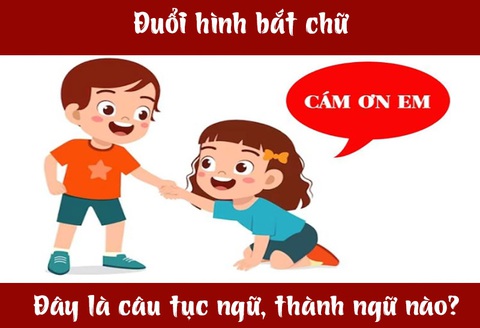 Câu tục ngữ, thành ngữ 'khó nhằn' này là gì? (P55)- Ảnh 3. Câu tục ngữ, thành ngữ 'khó nhằn' này là gì? (P55)- Ảnh 3.