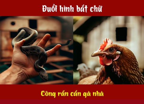 Câu tục ngữ, thành ngữ 'khó nhằn' này là gì? (P48)- Ảnh 4.