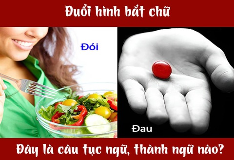 Câu tục ngữ, thành ngữ 'khó nhằn' này là gì? (P55)- Ảnh 1. Câu tục ngữ, thành ngữ 'khó nhằn' này là gì? (P55)- Ảnh 1.