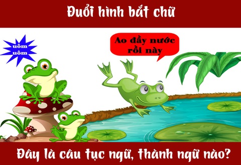 Câu tục ngữ, thành ngữ 'khó nhằn' này là gì? (P60)- Ảnh 1. Câu tục ngữ, thành ngữ 'khó nhằn' này là gì? (P60)- Ảnh 1.
