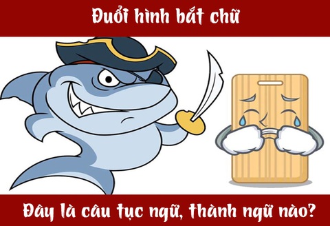 Câu tục ngữ, thành ngữ 'khó nhằn' này là gì? (P59)- Ảnh 3. Câu tục ngữ, thành ngữ 'khó nhằn' này là gì? (P59)- Ảnh 3.
