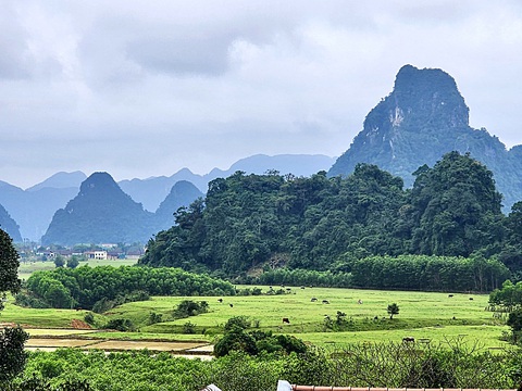 Chuyện lạ Tân Hóa, làng du lịch tốt nhất thế giới - Kỳ 5: Dưới tán rừng lim ông Đô- Ảnh 3. Người dân Tân Hóa giờ đã bỏ hẳn tập quán khai thác rừng, nhiều vạt rừng được khôi phục hùng vĩ giữa thung lũng sông Rào Nan - Ảnh: THÁI LỘC