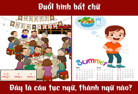 Câu tục ngữ, thành ngữ 'khó nhằn' này là gì? (P53)- Ảnh 1. Câu tục ngữ, thành ngữ 'khó nhằn' này là gì? (P53)- Ảnh 1.