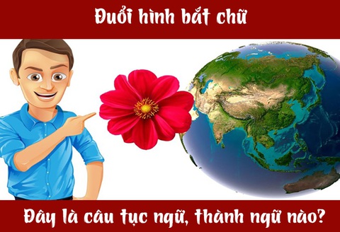 Câu tục ngữ, thành ngữ 'khó nhằn' này là gì? (P51)- Ảnh 1. Câu tục ngữ, thành ngữ 'khó nhằn' này là gì? (P51)- Ảnh 1.