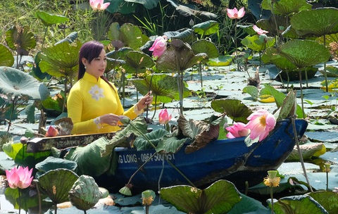 Nghệ sĩ Phương Thúy vừa đàn bầu vừa ca bài vọng cổ nhịp 16 mang tên Nhớ ơn Bác Hồ - Ảnh: LINH ĐOAN Nghệ sĩ Phương Thúy vừa đàn bầu vừa ca bài vọng cổ nhịp 16 mang tên Nhớ ơn Bác Hồ - Ảnh: LINH ĐOAN