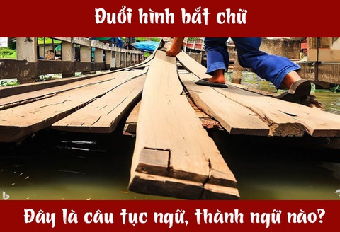 Câu tục ngữ, thành ngữ 'khó nhằn' này là gì? (P49)- Ảnh 3. Câu tục ngữ, thành ngữ 'khó nhằn' này là gì? (P49)- Ảnh 3.