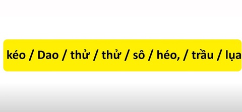 Thử tài tiếng Việt: Sắp xếp các từ sau thành câu có nghĩa (P8)- Ảnh 3. Thử tài tiếng Việt: Sắp xếp các từ sau thành câu có nghĩa (P8)- Ảnh 3.