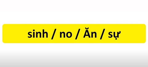 Thử tài tiếng Việt: Sắp xếp các từ sau thành câu có nghĩa (P9)- Ảnh 3. Thử tài tiếng Việt: Sắp xếp các từ sau thành câu có nghĩa (P9)- Ảnh 3.