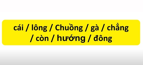 Thử tài tiếng Việt: Sắp xếp các từ sau thành câu có nghĩa (P9)- Ảnh 1. Thử tài tiếng Việt: Sắp xếp các từ sau thành câu có nghĩa (P9)- Ảnh 1.