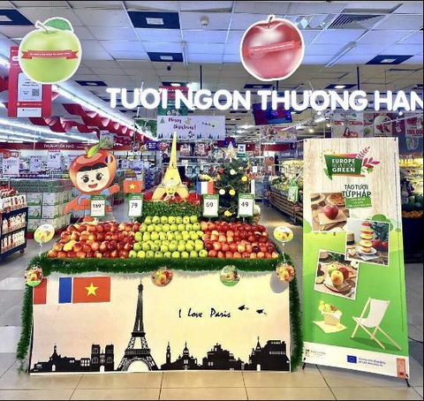 Táo Pháp đến với người tiêu dùng Việt- Ảnh 2. Táo Pháp đến với người tiêu dùng Việt- Ảnh 2.