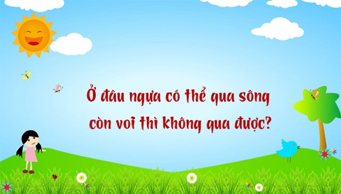 Câu đố hack não: Người đi chợ thường hay mặc gì?- Ảnh 5. Câu đố hack não: Người đi chợ thường hay mặc gì?- Ảnh 5.