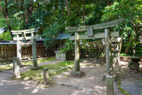 Đảo Okinoshima ở Nhật Bản cấm phụ nữ, khách không được cầm đi dù 1 cọng cỏ- Ảnh 1. Đền Munakata Taisha ở đảo Okinoshima, Nhật Bản - nơi gắn liền với truyền thuyết về ba người con gái của Nữ thần Mặt trời Amaterasu - Ảnh: TOKYOWEEKENDER.