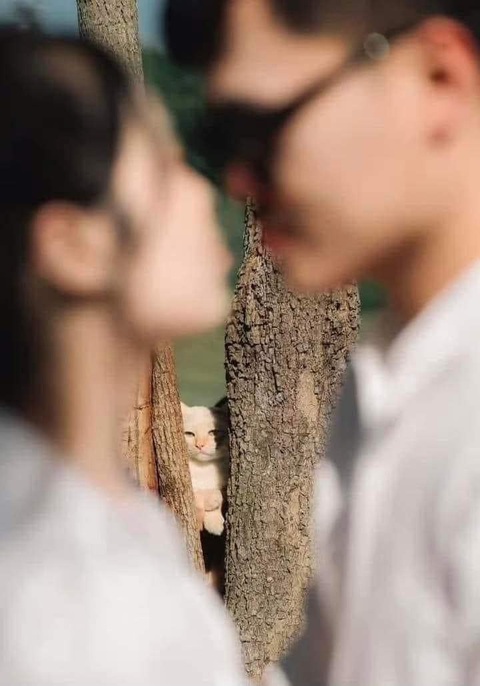Ảnh vui 23-2: 'Bên em có chú bảo vệ làm 10 năm không mất chiếc xe nào!'- Ảnh 2. Để tao chống mắt lên xem chúng mày hạnh phúc bao lâu?!