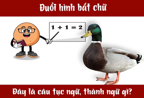 IQ cao có đoán được đây là câu tục ngữ, thành ngữ gì? (P42)- Ảnh 3. IQ cao có đoán được đây là câu tục ngữ, thành ngữ gì? (P42)- Ảnh 3.