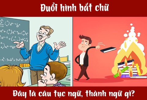 IQ cao có đoán được đây là câu tục ngữ, thành ngữ gì? (P42)- Ảnh 1. IQ cao có đoán được đây là câu tục ngữ, thành ngữ gì? (P42)- Ảnh 1.