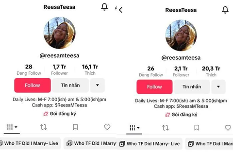 'Bóc phốt' chồng cũ để xả giận, ai dè kiếm bộn tiền!- Ảnh 3. Kênh TikTok cá nhân của Teesa Reesa cũng có lượng người hâm mộ khổng lồ
