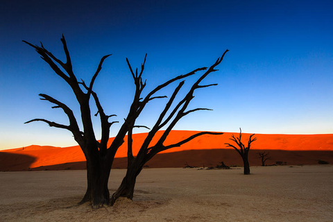 Theo thời gian, những cây keo ở Dead Vlei bị thiêu đốt dưới ánh nắng mặt trời và hóa thành màu đen - Ảnh: PIXELS Theo thời gian, những cây keo ở DeadVlei bị thiêu đốt dưới ánh nắng mặt trời và hóa thành màu đen - Ảnh: PIXELS