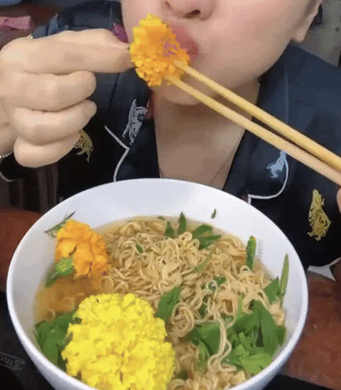 Bông vạn thọ đến mùa 'tai ương': Hết Tết là đem 'úp mì tôm'- Ảnh 1. Độc lạ
