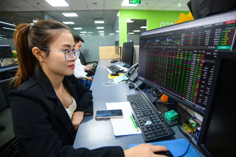 Công ty chứng khoán lãi cả chục ngàn tỉ đồng từ tự doanh, gấp 4 lần năm trước- Ảnh 1. Nguồn thu các công ty chứng khoán được đóng góp từ các mảng chính: tự doanh chứng khoán, môi giới, cho vay ký quỹ margin và ngân hàng đầu tư (IB) - Ảnh: QUANG ĐỊNH