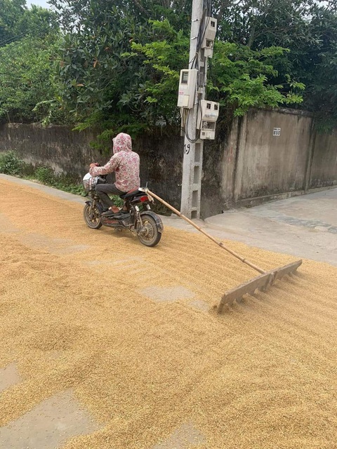 Ảnh vui 24-2: Là H'Hen Niê nhưng rất Hải Triều?- Ảnh 8. Người lười biếng thường có lối đi riêng.